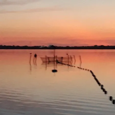 Fischers Fernsicht *